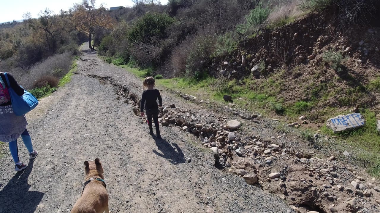 Child and dog ahead on a sunlit rough road with woman at the side.