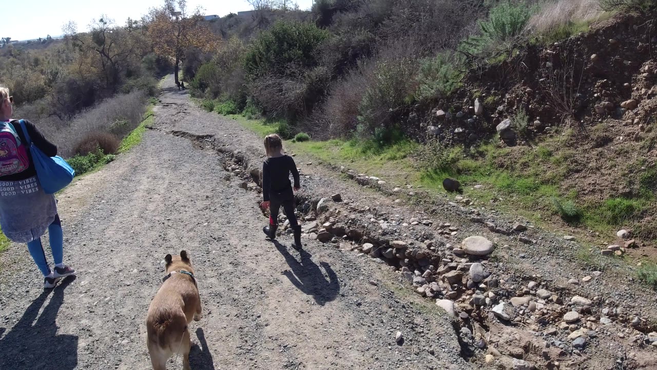 In San Clemente, California, the woman with a colorful backpack and blue bag walks on the right, the child moves ahead, and the dog follows near the center of the rough road.