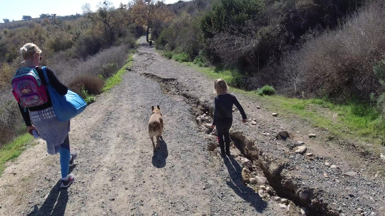 The woman with a pink backpack and blue tote remains in the left foreground while the child and dog continue ahead on the San Clemente dirt road.