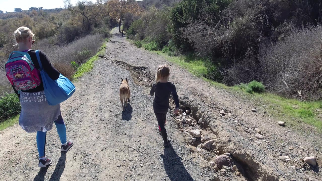 Woman, child, and dog walking near a rut in the path