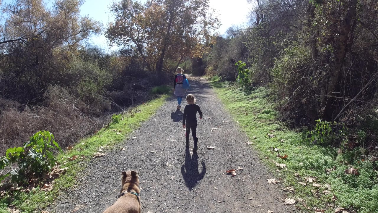 The child moves farther down the center of the gravel path while the woman remains ahead and the brown dog stays partly visible in the foreground in San Clemente, California.