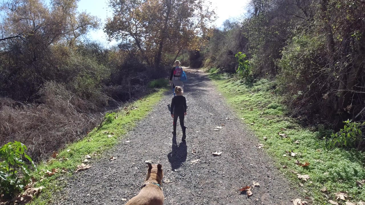 The brown dog is centered near the bottom of the frame as the child and woman continue along the brush-lined trail in San Clemente, California.