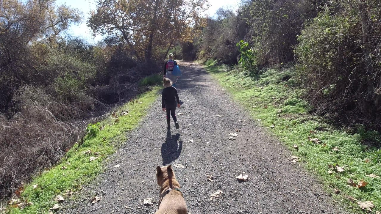 Child near the center of a forest path with a woman ahead.