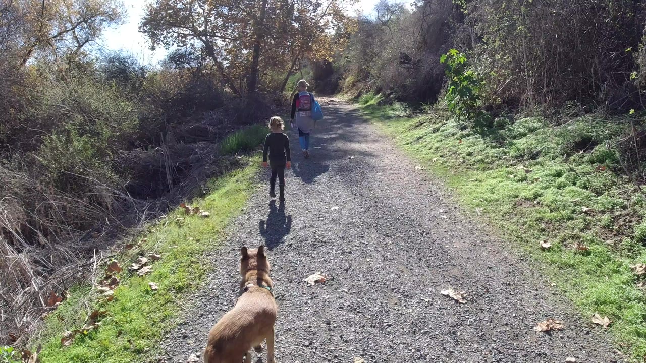 At the start of the San Clemente clip, a small tan dog is low in the foreground while a blonde child and woman walk ahead on a sunlit gravel trail.