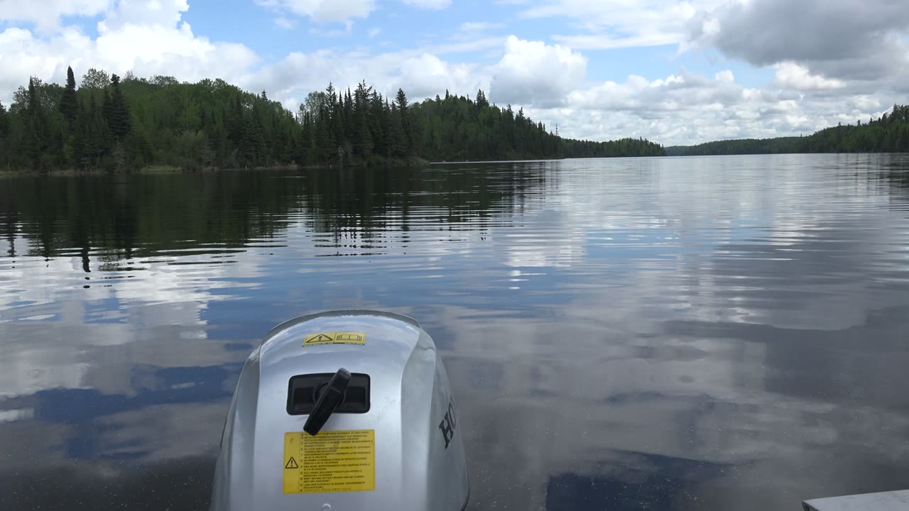 Outboard motor facing calm reflective water and forested shoreline.