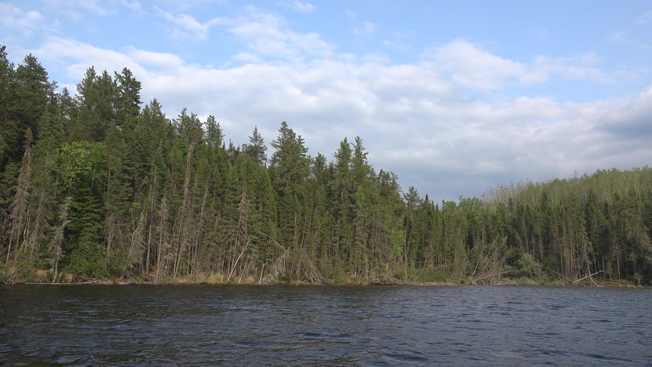 Opening view of Red Lake, Canada water in the foreground with dense green forest and bare shoreline trunks under pale clouds, no visible people.