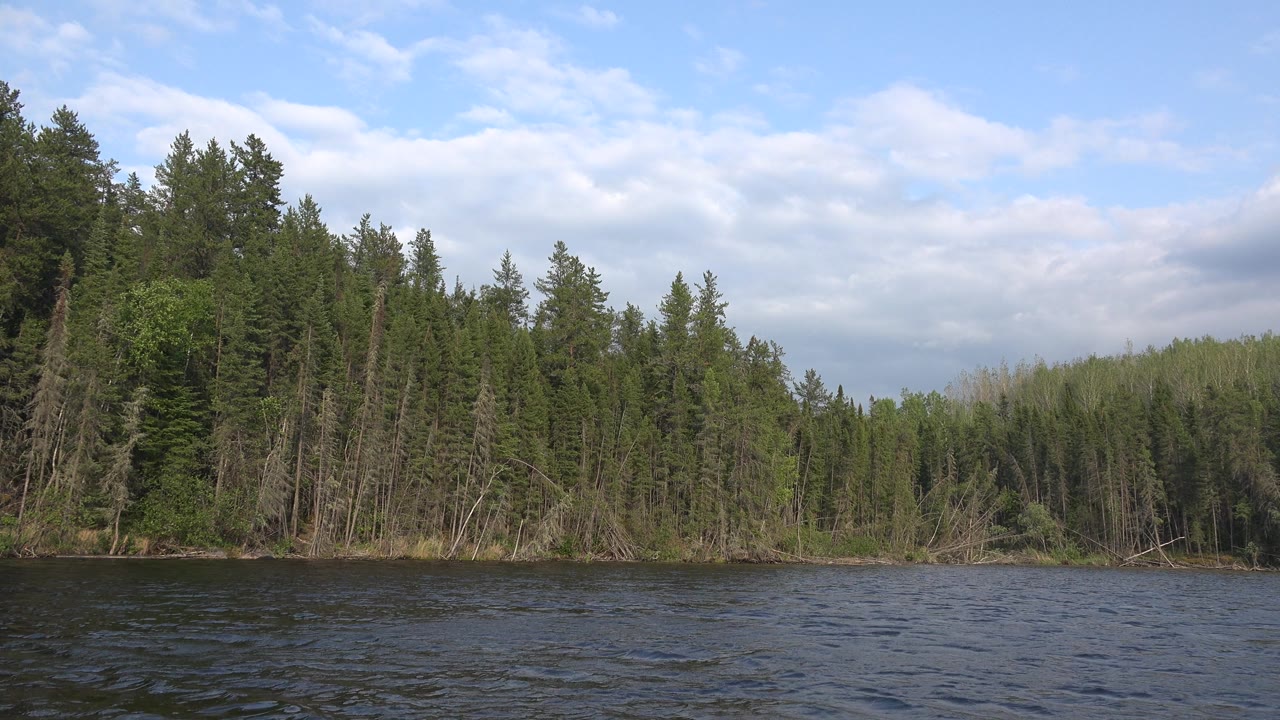 Dense trees line the far bank above a rippled water foreground.