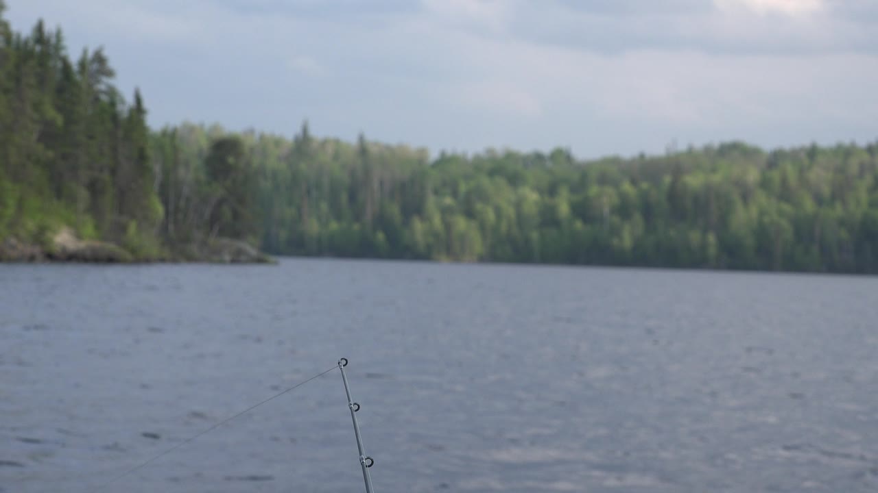 Lake surface, distant forest, and fishing rod at lower center.