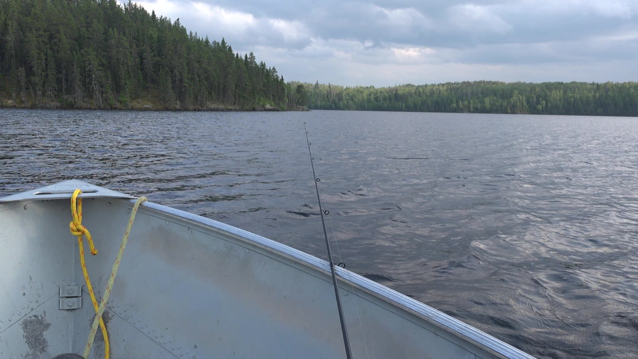 The boat bow sits lower in the frame on Red Lake, Canada, with the fishing rod upright at right, wind-rippled water across the middle, forest on the left shore, and no visible people.
