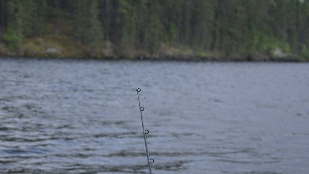 At 0:01 in Red Lake, Canada, the fishing pole tip sits near the lower center as small waves cross the lake and the distant forest remains softly out of focus, with no visible people.