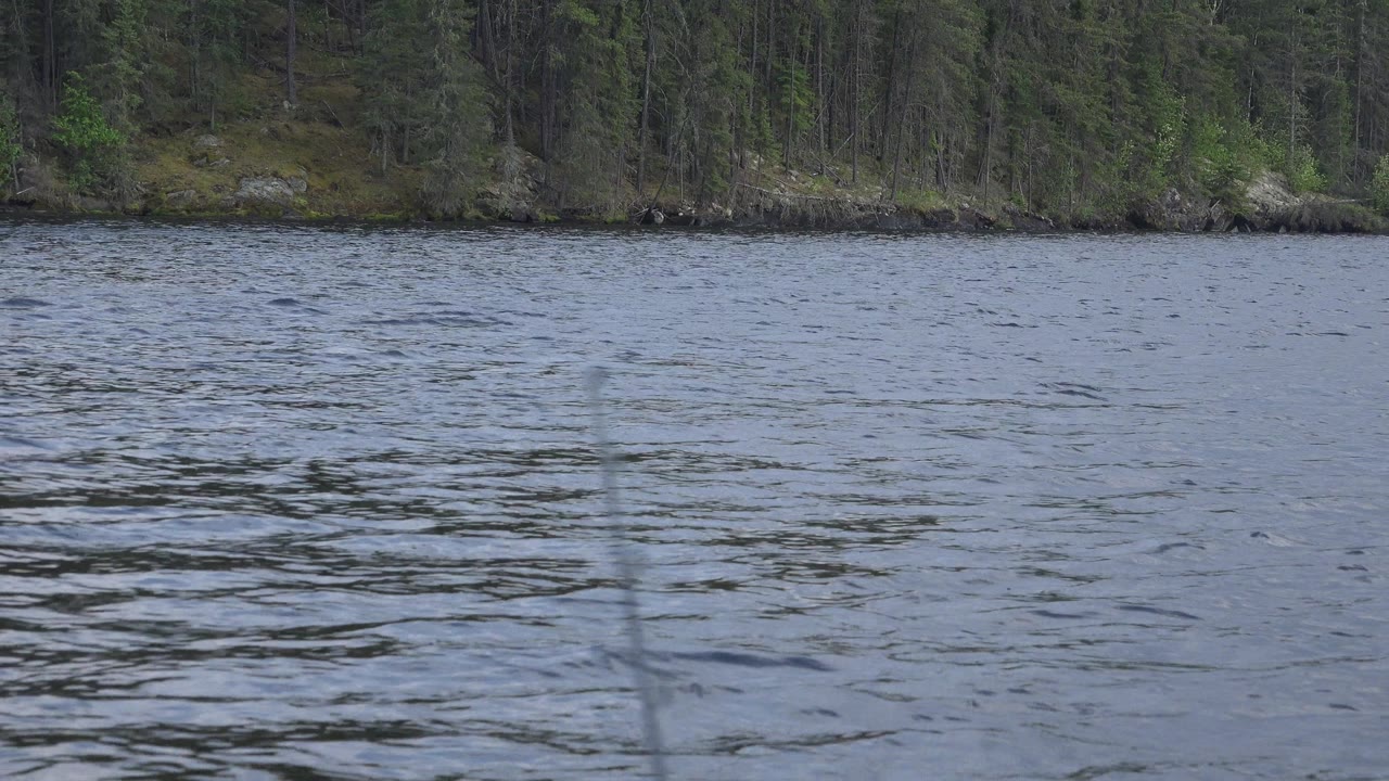 Opening frame of Red Lake, Canada with blue-gray rippling water in front of a dense green forest shoreline and no visible people.