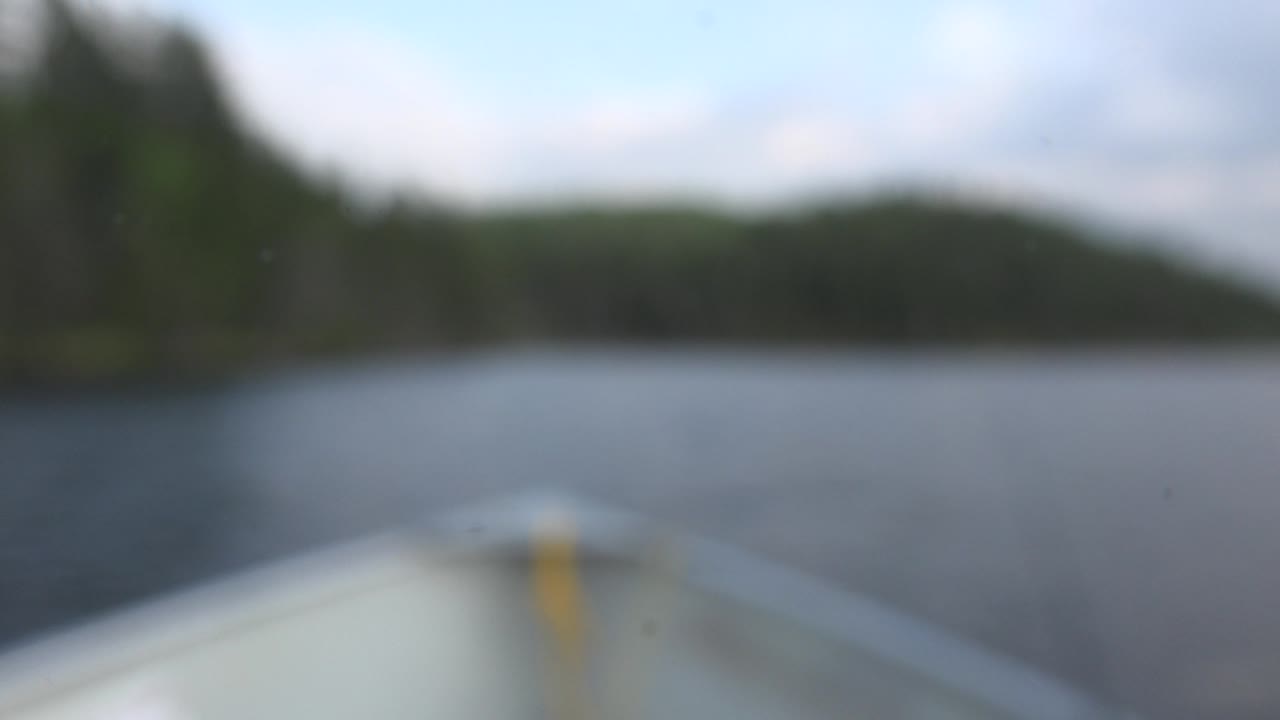 Blurred lake view from a boat with trees on the far shore.