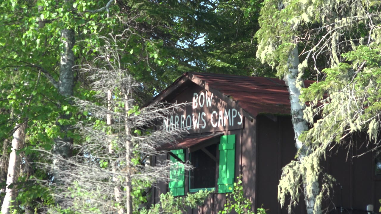 Brown camp cabin with green shutters behind forest branches