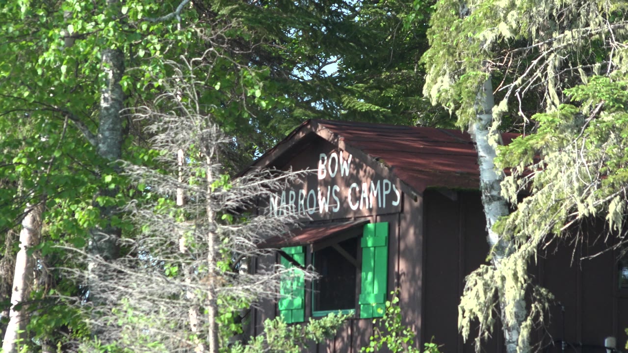 The cabin's roof peak and green shutters remain visible behind branches, with the Bow Narrows Camps lettering partly readable in Red Lake, Canada, and no visible people.