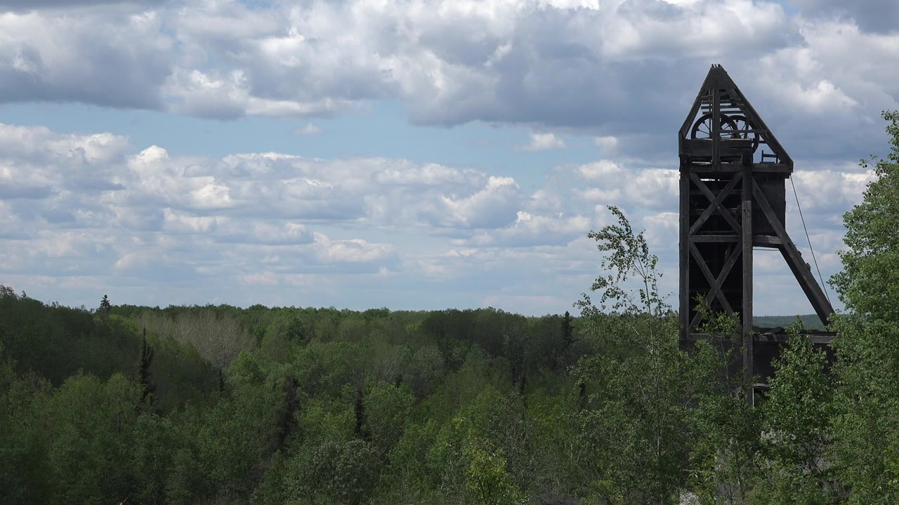 Green forest with a dark wooden tower under a cloudy sky.