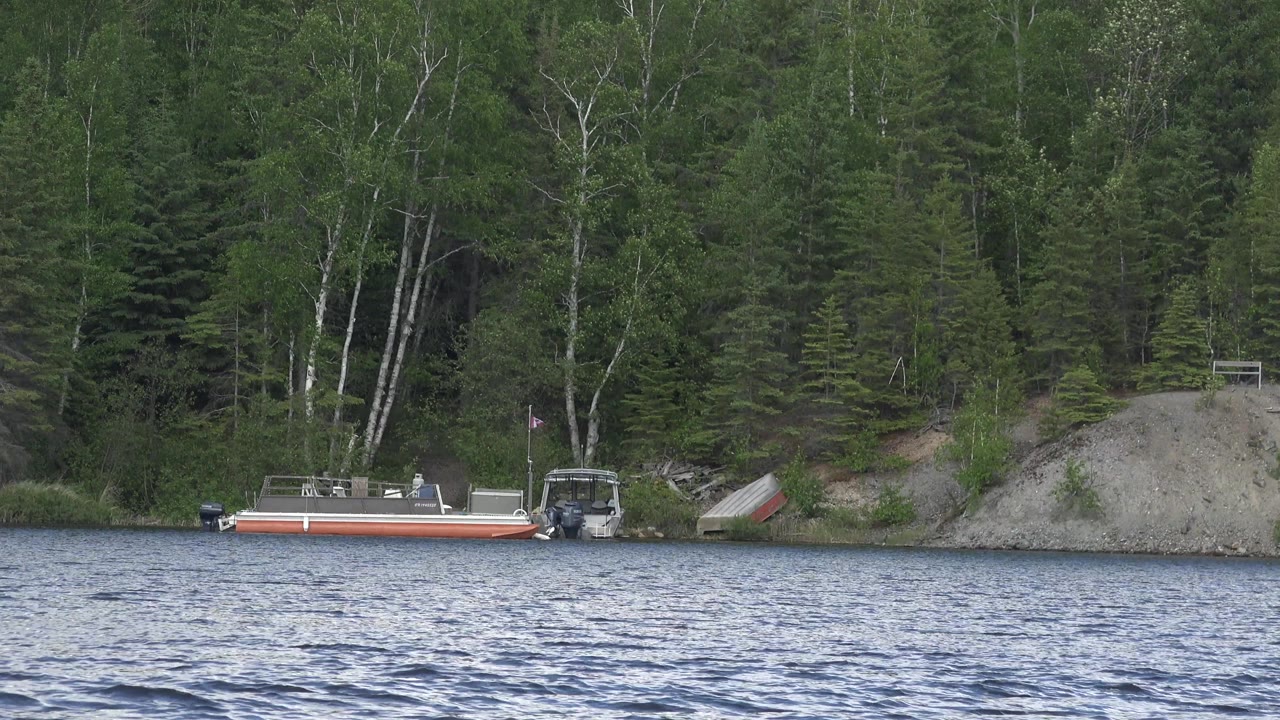Small boat near trees and exposed rock