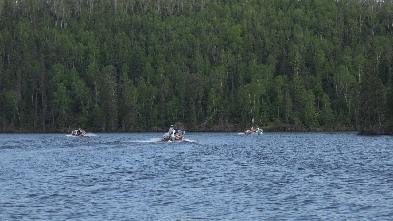 Small motorboats on rippled water with dense forest behind them.