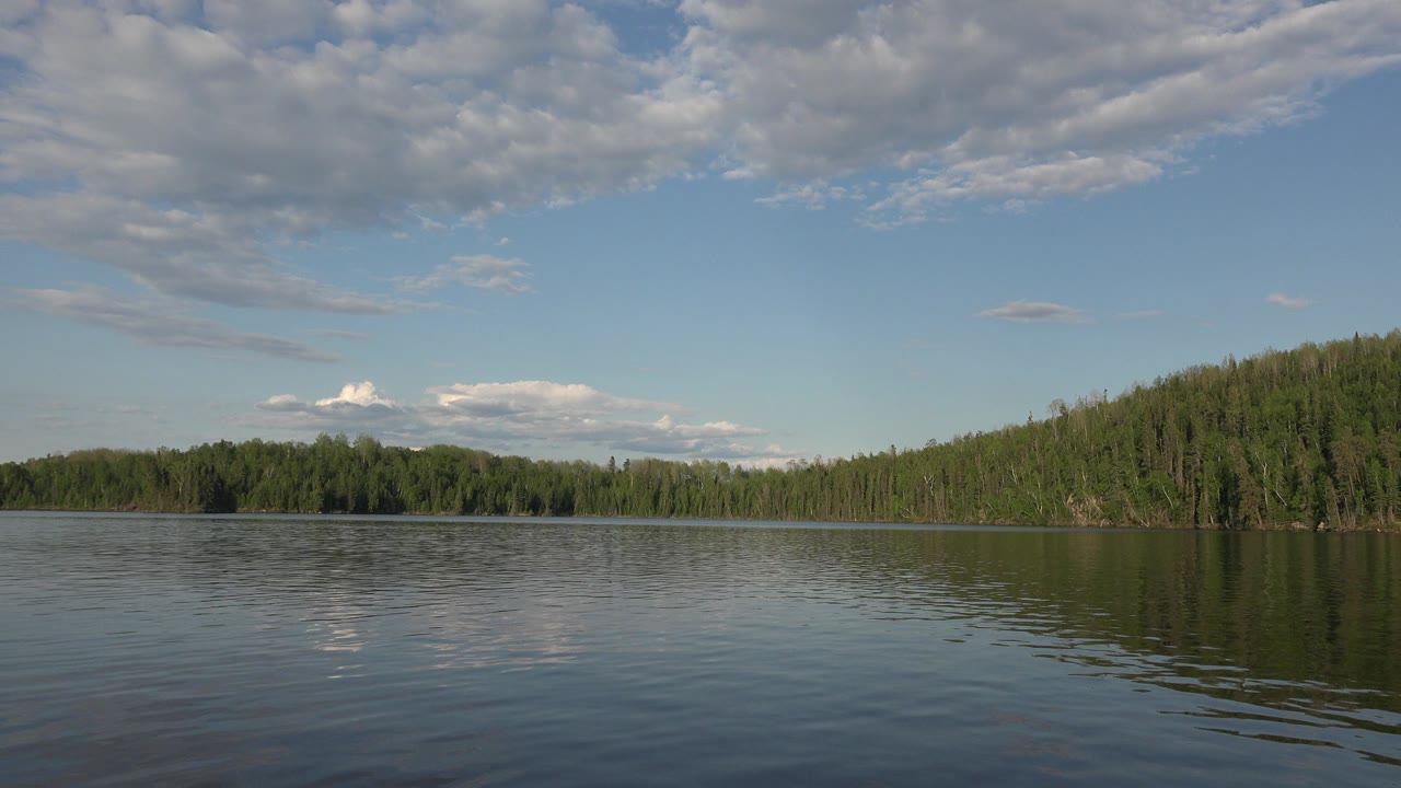 Calm water facing a forested shoreline under a blue sky with clouds.