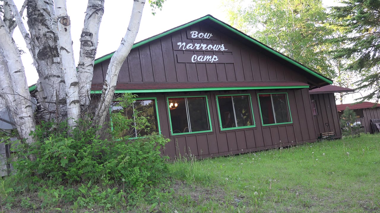 Brown camp hut with green trim beside white birch trees and grass.