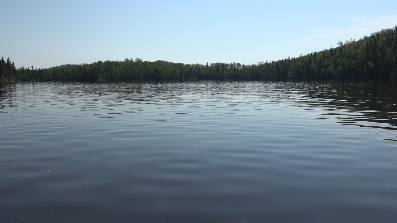 Wide view of Red Lake, Canada with dark rippled water in the foreground, a green forest shoreline across the horizon, clear blue sky above, and no visible people.