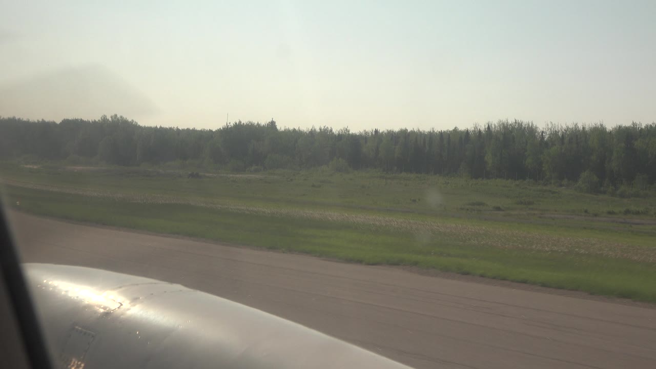 Paved ground, green field, tree line, and aircraft surface in bright daylight.
