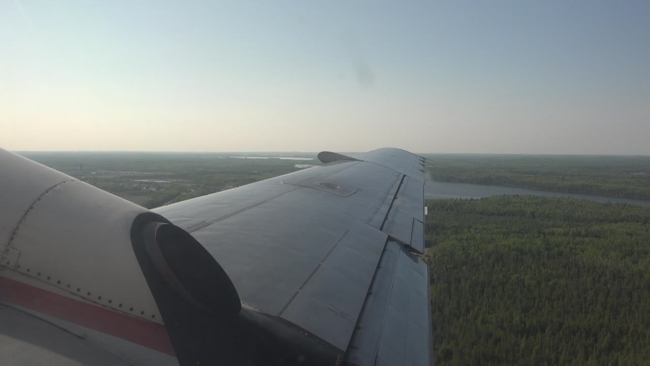 Airplane wing over forest and distant water under a pale sky.