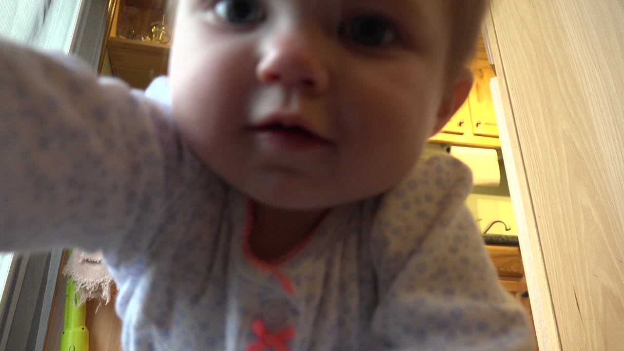Toddler close to a floor-level camera in a kitchen.