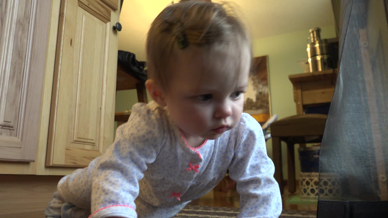 A baby crawls toward a floor-level camera inside a Westminster, Colorado home, with light wood cabinets, a dining chair, and an adult leg visible behind the child.