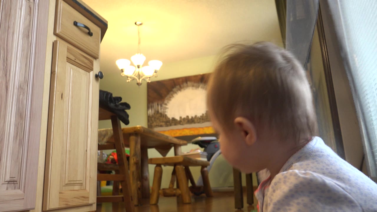 The toddler faces the curtain near the bright window, with a chair, cabinet, chandelier, and wall hanging visible in the Westminster, Colorado home interior.