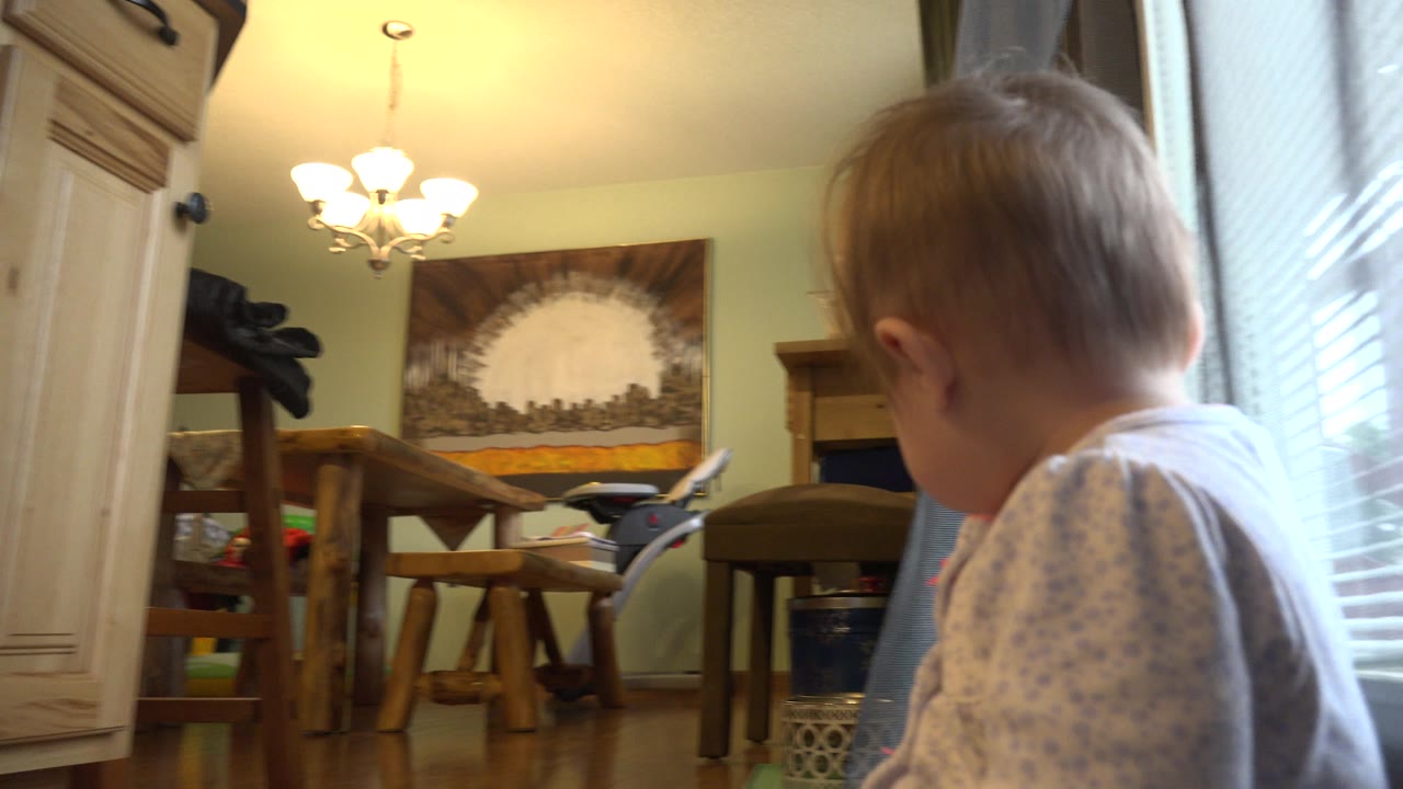 The toddler sits at the right side of the frame by the curtain and window blinds, with dining-style chairs, a chandelier, and a wall hanging in the Westminster, Colorado room.