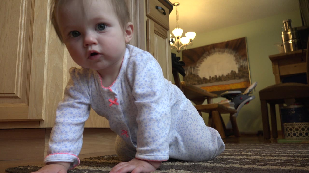 A baby crawls close to a floor-level camera inside a Westminster, Colorado home, with wood cabinets, a rug, dining chairs, wall art, and warm ceiling lights behind them.