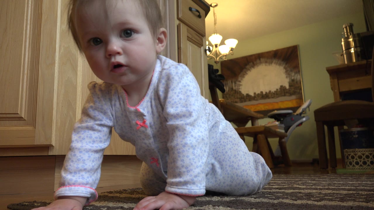 The baby remains on hands and knees near the floor camera in the Westminster, Colorado home, with the patterned sleeper, cabinet doors, rug edge, chandelier lights, and dining area visible.