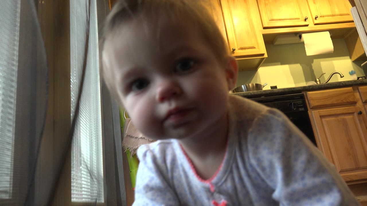The baby girl remains close to the low camera in the Westminster kitchen, looking forward as the curtains and wood cabinetry frame the background.