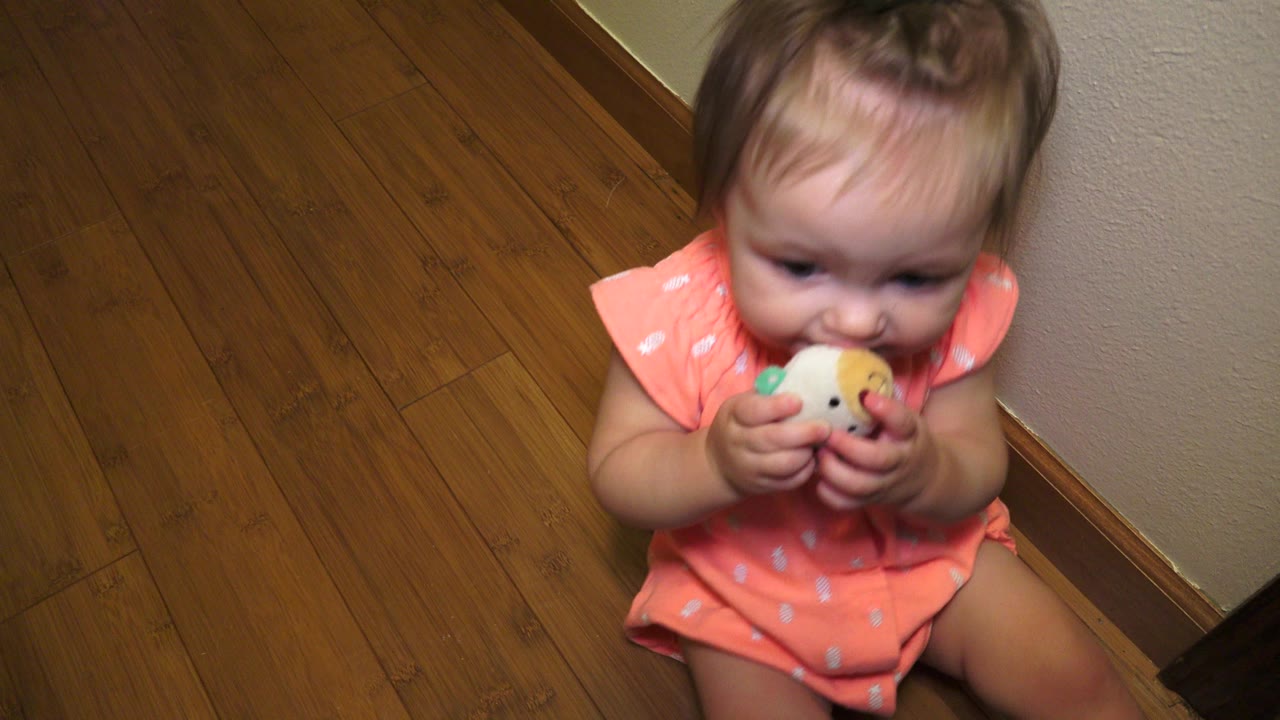 In Broomfield, Colorado, the baby girl remains seated on the wood floor with both hands around the multicolored teething toy near her mouth.