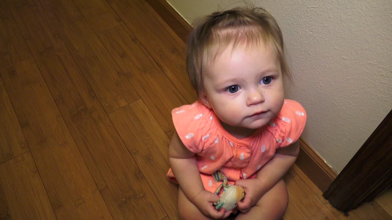 Baby girl sitting on a wood floor holding a toy.