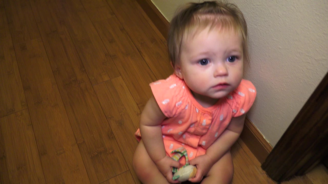 Baby girl in a pink dress holding a toy on a wood floor.