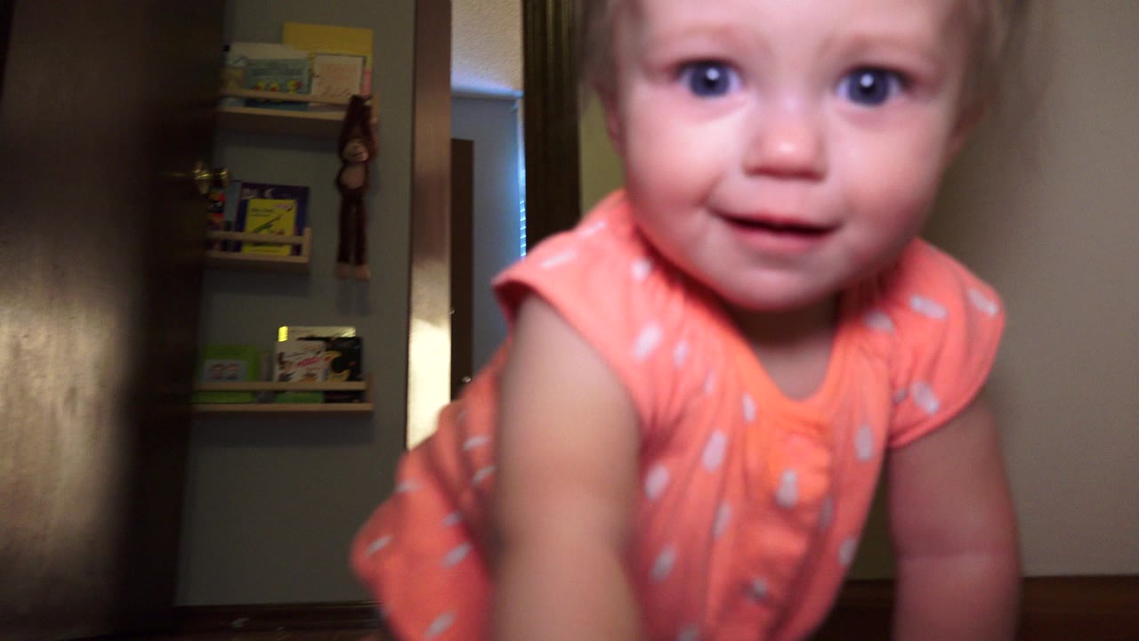 The baby looks toward the lens while crawling in the Broomfield, Colorado room, with warm light on her face and wall shelves behind her.
