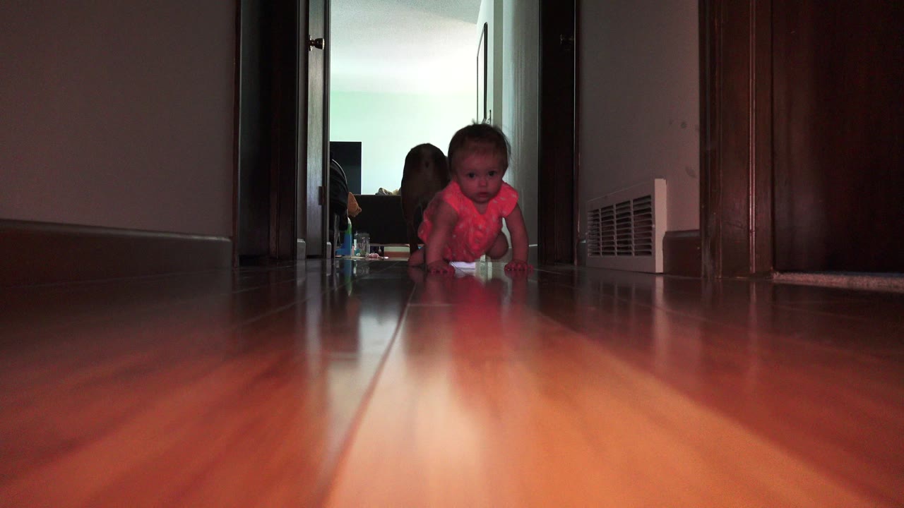 Baby crawling in a hallway on a shiny wood floor.
