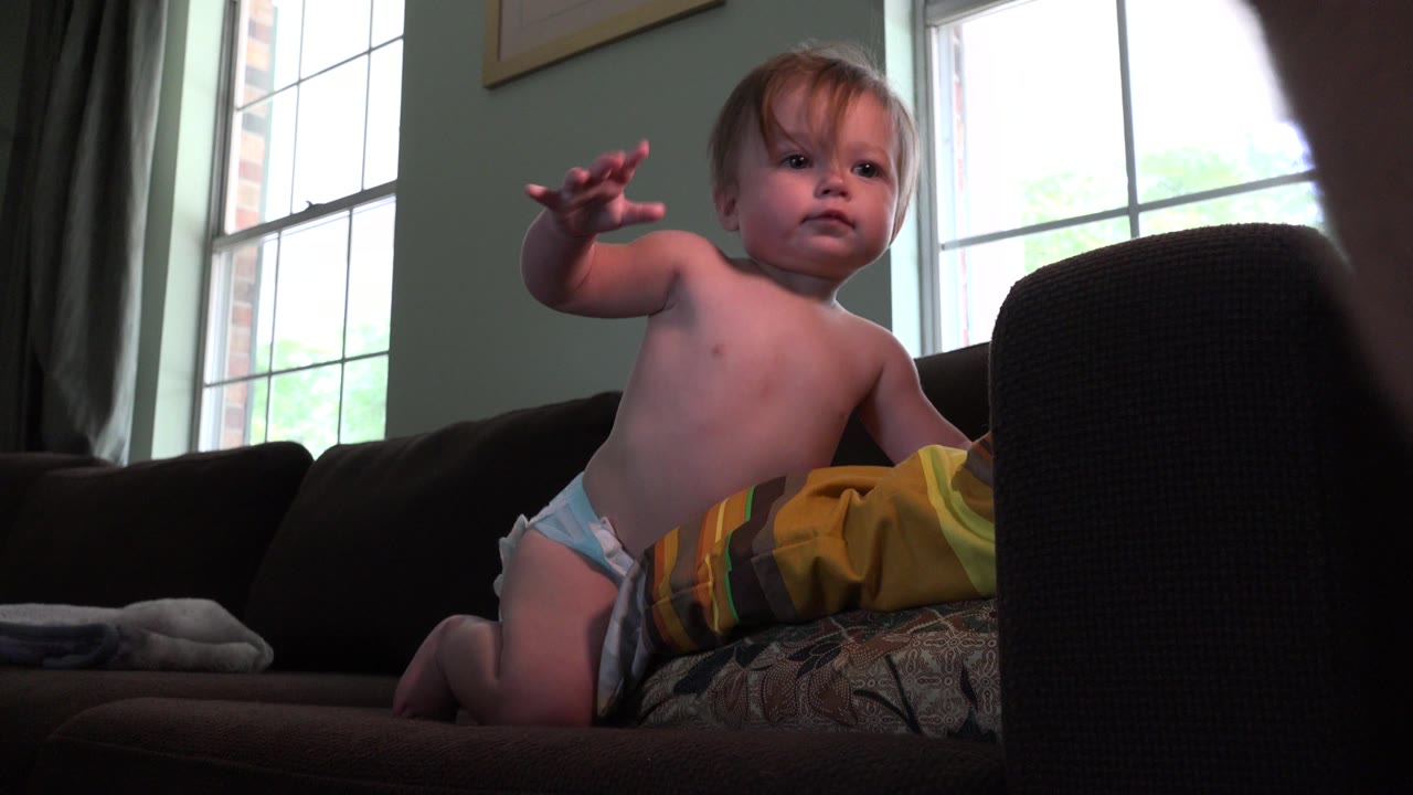 White baby remains on the dark sofa with one arm lifted, framed by a foreground chair edge and backlit living room windows in Westminster, Colorado.