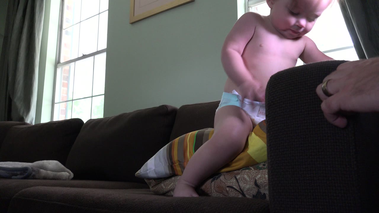 At 0:01 in Westminster, Colorado, the baby looks downward while seated on pillows on the dark couch, with the adult hand still visible at the foreground sofa arm.