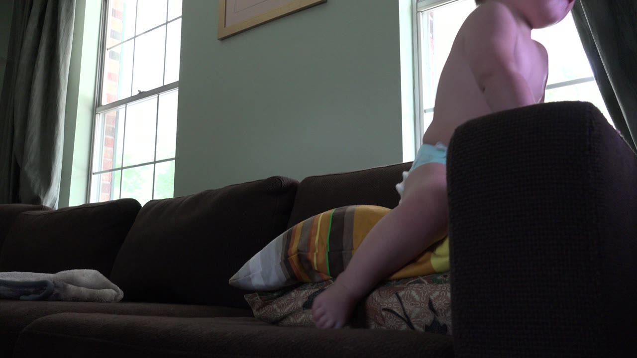 A young child leans forward on the dark couch in the Westminster, Colorado living room, partly cropped by the top of the frame, with daylight coming through the window.