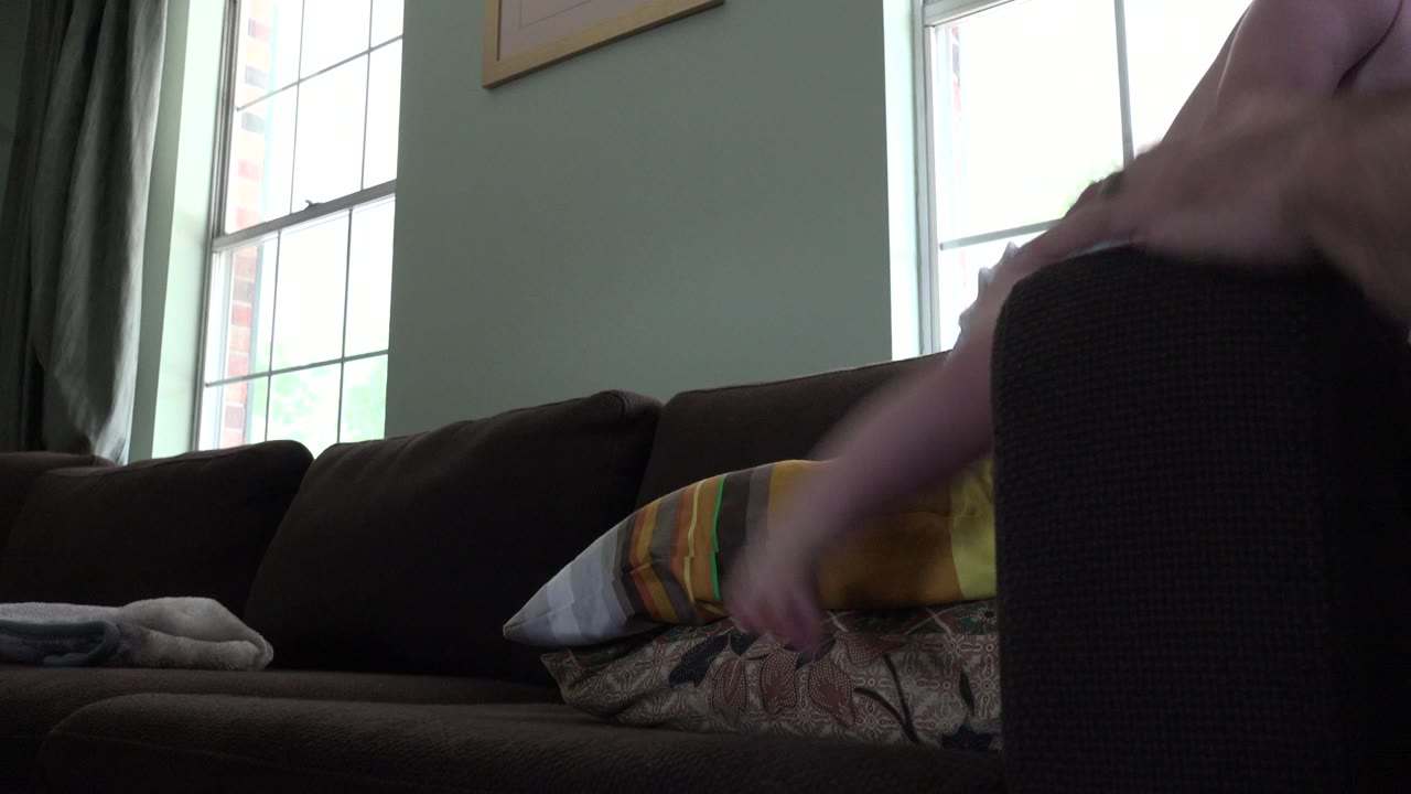 In Westminster, Colorado, a baby leans forward over a dark sofa arm beside striped pillows, with tall windows and curtains behind the couch.