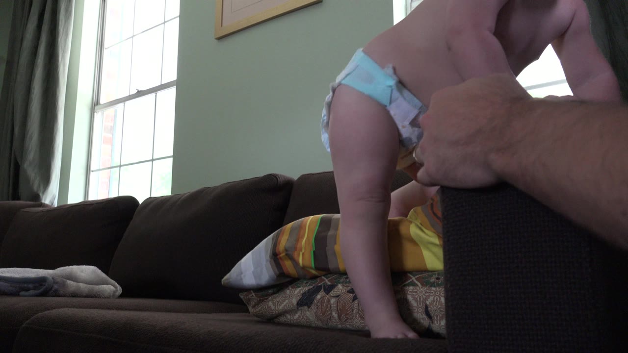 In Westminster, Colorado, a toddler in a diaper kneels on stacked pillows on a dark couch while an adult hand steadies them near a bright window.