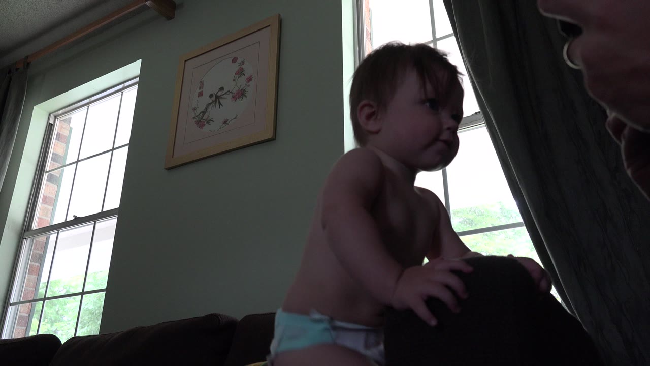 At 0:01, the toddler leans on the dark furniture in the Westminster, Colorado room, with the adult's profile cropped at the right edge and daylight behind the curtain.
