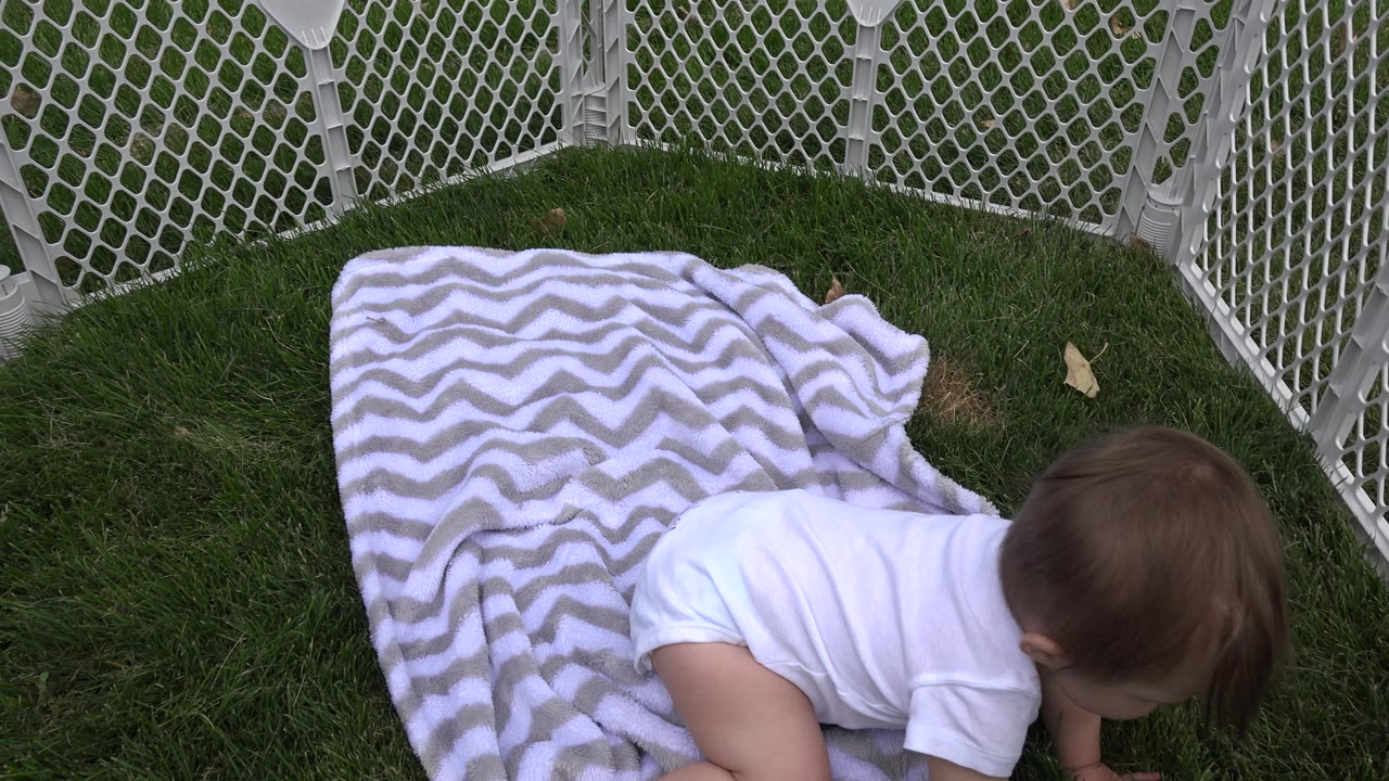 At 0:01, the baby remains low on hands and knees near the blanket edge, with the white safety fence enclosing the grassy Westminster, Colorado play area.