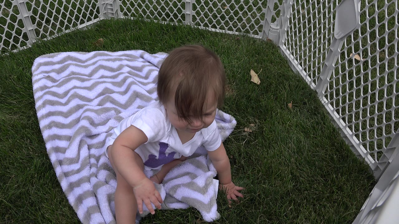 At 0:01 in Westminster, Colorado, the baby leans forward from the blanket with one arm extended toward the grass inside the white playpen.