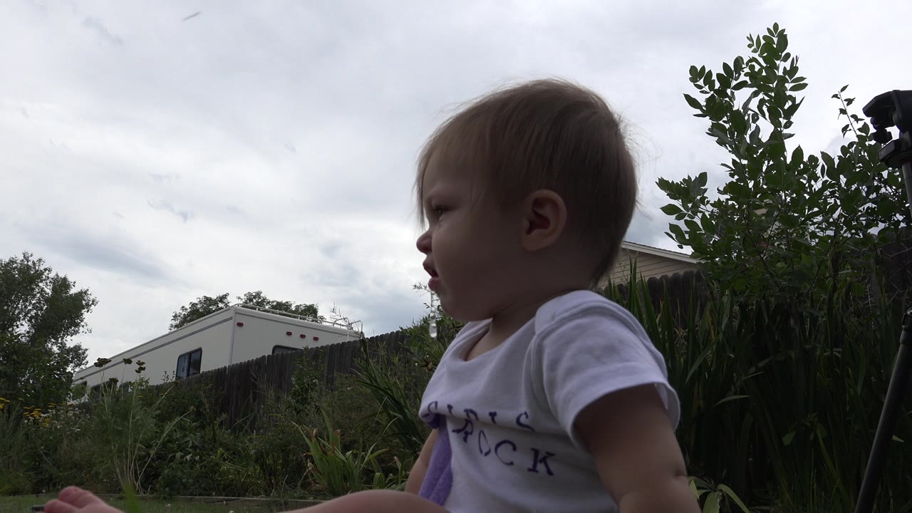 At the start of the Westminster, Colorado clip, a toddler in a white shirt sits close to the ground camera with plants, a fence, a pale building, and cloudy sky behind them.
