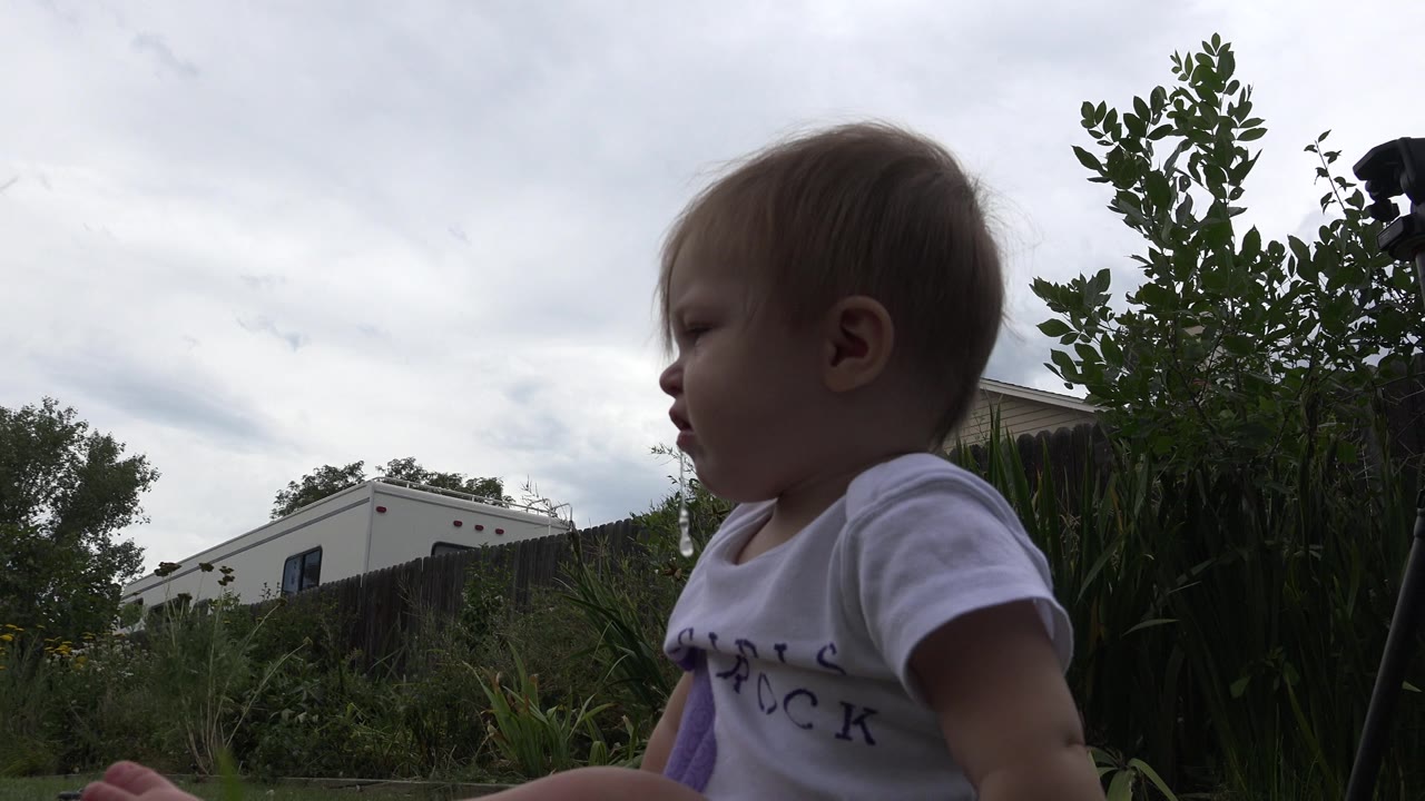 One second in, the toddler remains in side profile near the low camera, with leafy plants, a dark fence, a light building, and gray cloud cover visible in Westminster, Colorado.