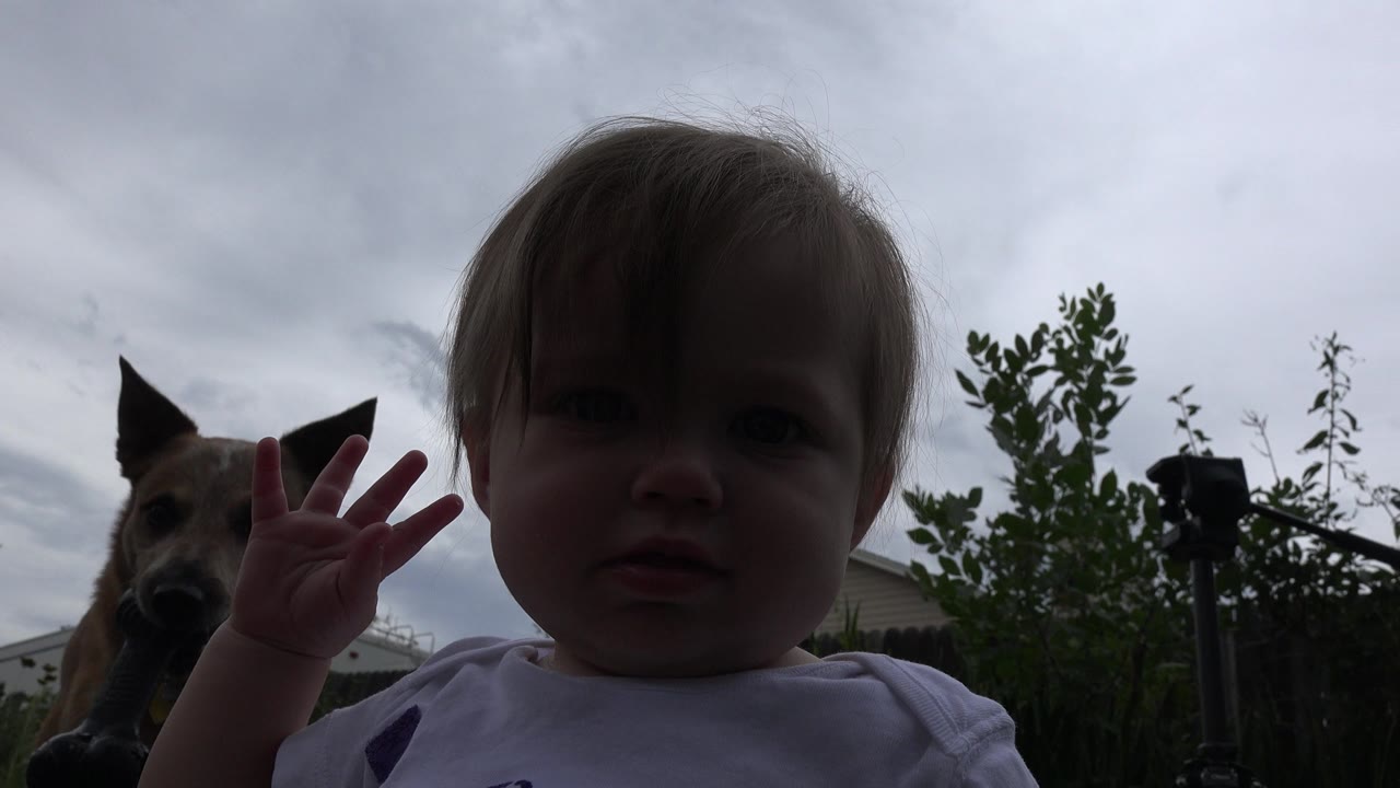 Baby close to camera with tan dog in backyard garden.