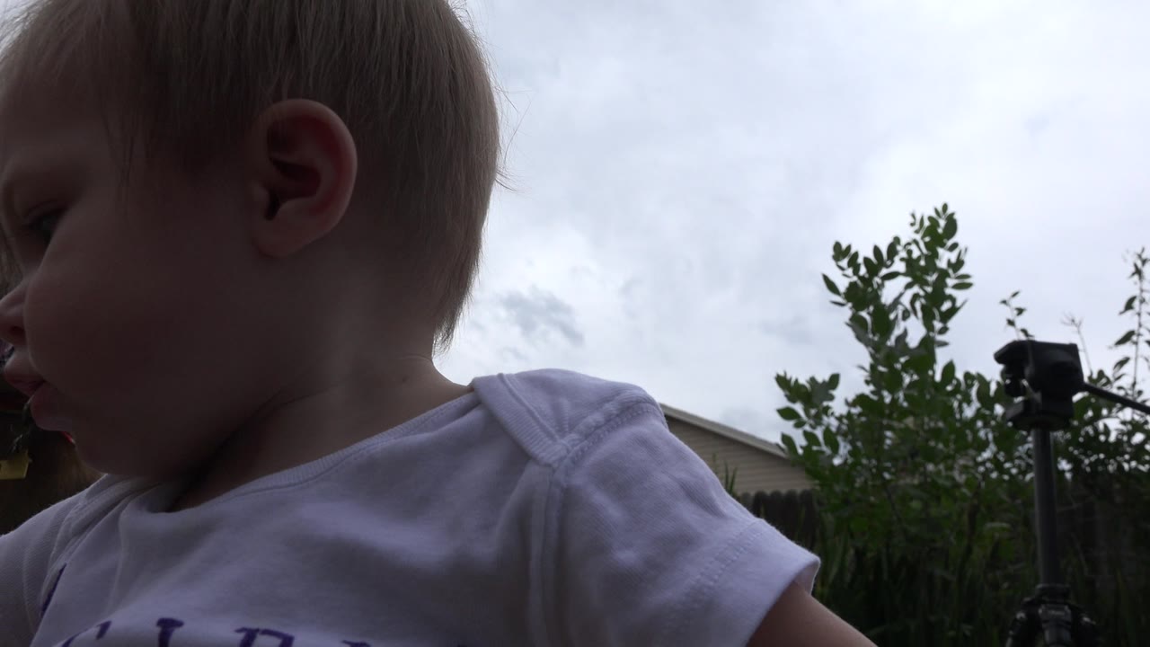 The baby appears in left-facing profile near the lens in Westminster, Colorado, with shrubs, a fence, cloudy sky, and a dark stand visible in the background.